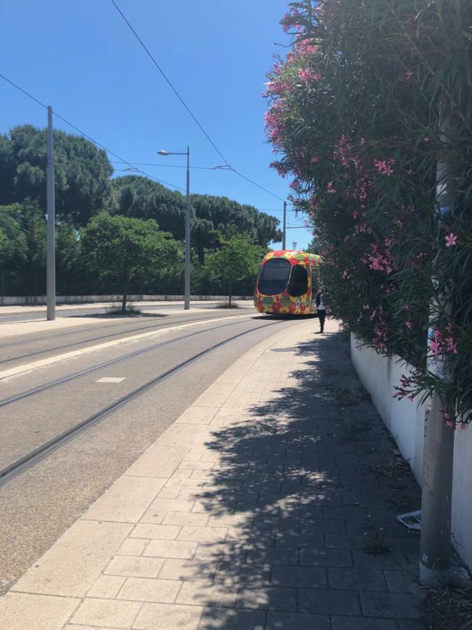 Appartement Mimosa, Tram 2, Parking Montpellier Exterior foto